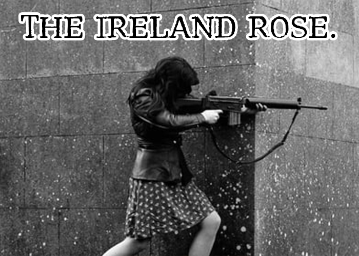 The Ireland Rose.  thumb