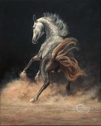 Freedom No3' - Wild Horse
