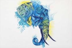 Tusker in Blue thumb