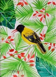 An Oriole in Spring thumb