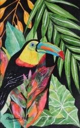 A Toucan in Color thumb